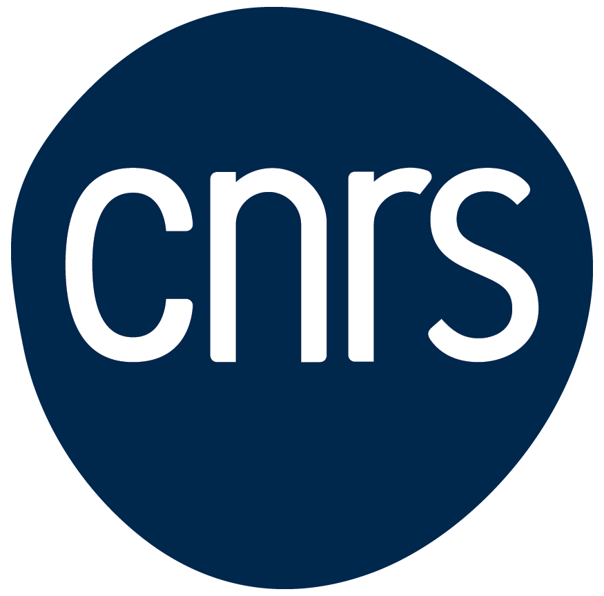 Sponsor 4 CNRS Logo